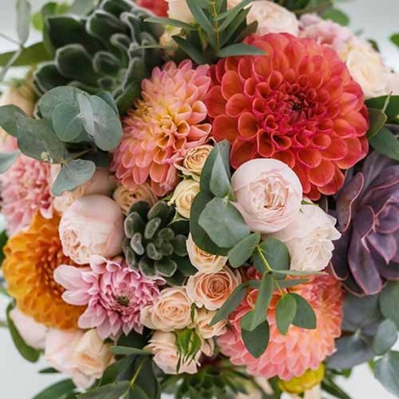 Meet your Posher, Joanna - Picture 1 of 1